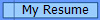My Resume